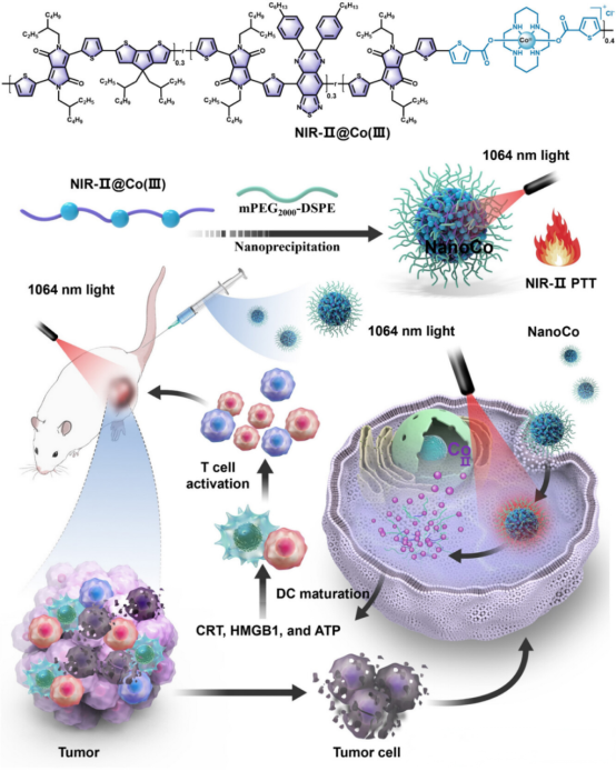 5a60fbf00e08449f893538604924512b.png image.png