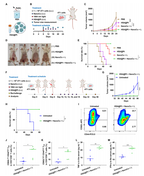 dcb19fd4bb7e431cbcec1a713b071cc6.png image.png