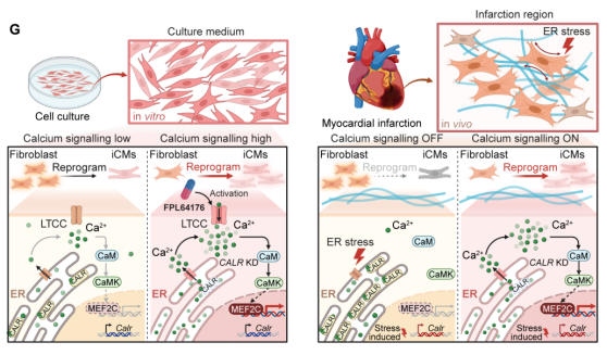 f87bee2131a04d10b27e424990891fdd.png image.png