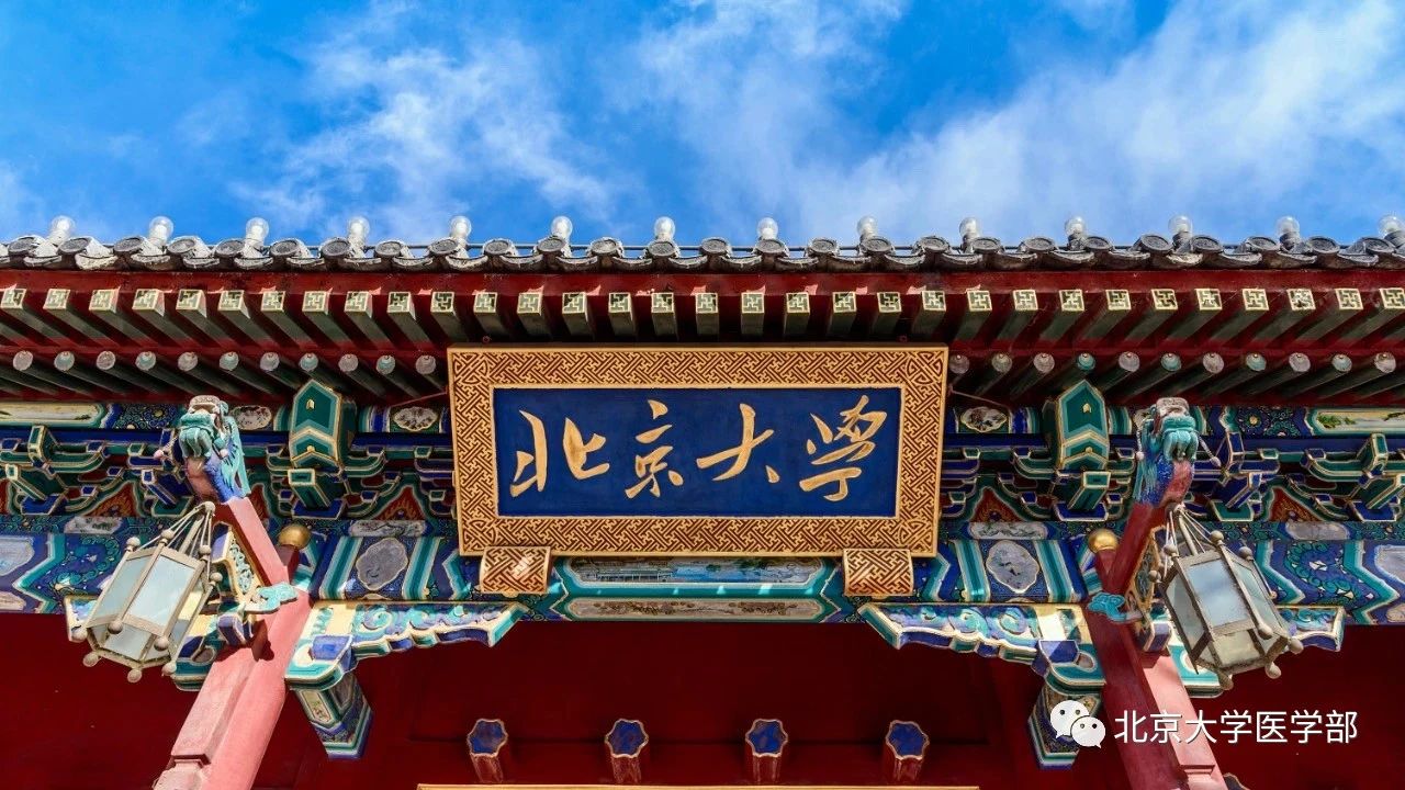 北京大学召开2026年春季学期安全业务工作会议