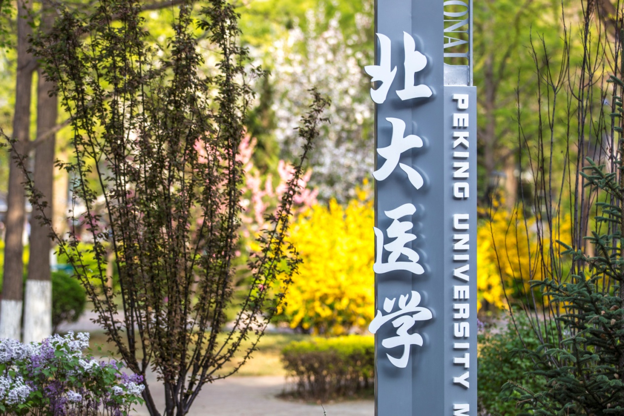 北大医学18人入选2026年北京市高创计划